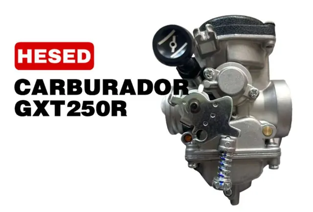 CARBURADOR GXT250R