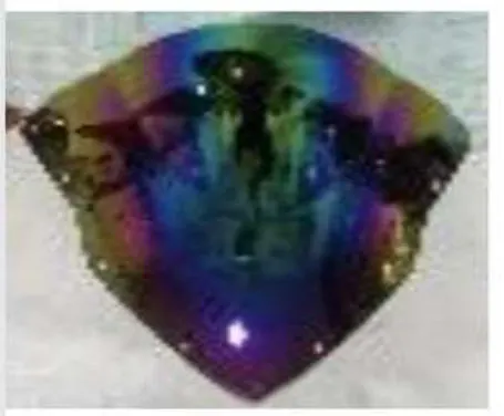 VISERA TORNASOL PS NS 200 LUJO