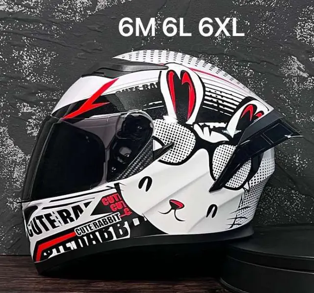 CASCO (M, L,XL)